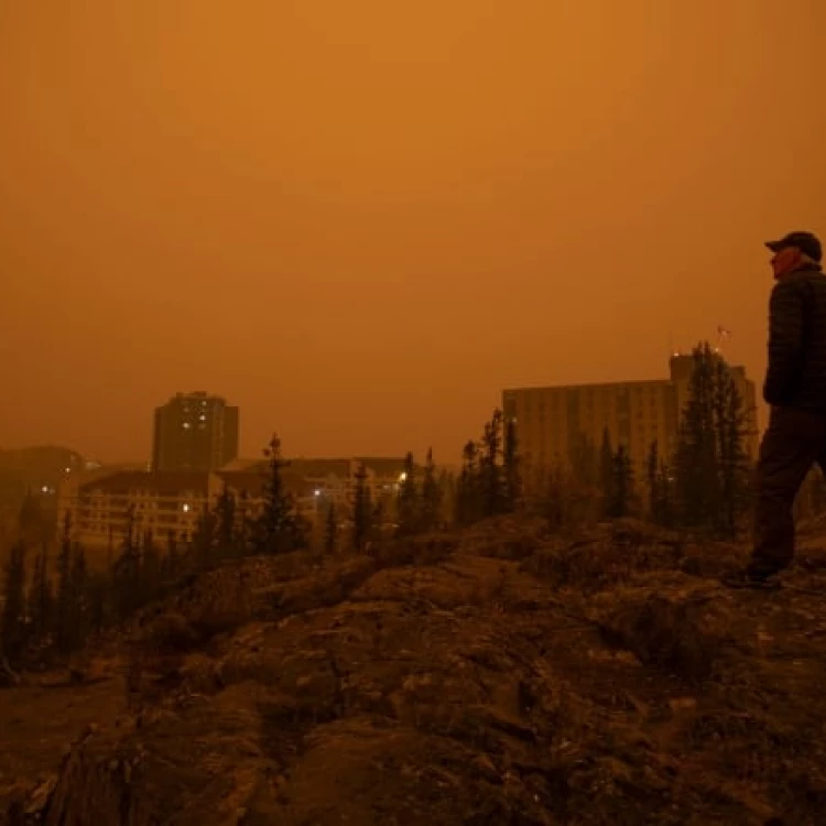 Imagen relacionada de edmonton invierte inteligencia artificial predecir incendios forestales