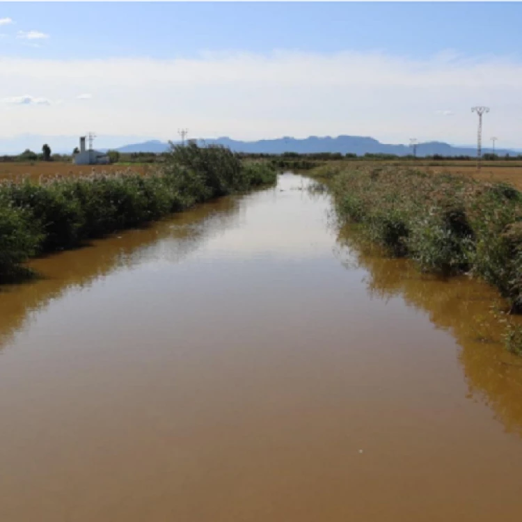 Imagen relacionada de cambio de color aguas albufera factores biologicos meteorologicos