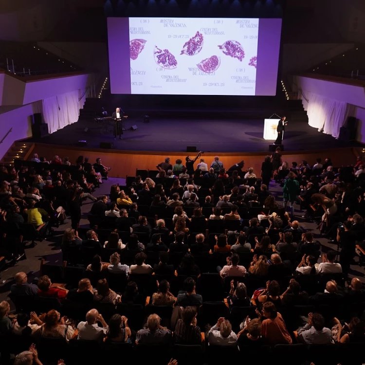 Imagen relacionada de record de publico mostra valencia cinema mediterrani