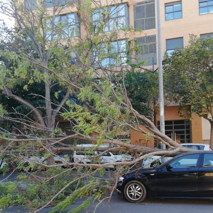 Imagen relacionada de alerta por fuertes vientos en valencia