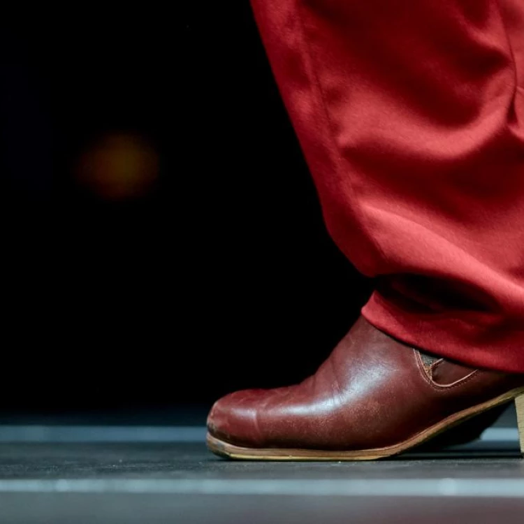 Imagen relacionada de festival miradas flamenkas programacion multicultural