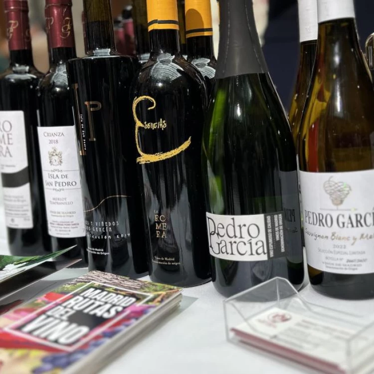 Imagen relacionada de la comunidad de madrid impulsa la promocion de los vinos locales en el xxiii salon de los vinos de madrid