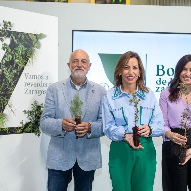 Imagen relacionada de el bosque de los zaragozanos inicia su tercera temporada con nuevas plantaciones