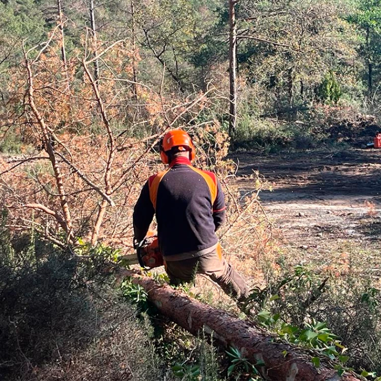 Imagen relacionada de impacto sequia bosques catalanes incremento ayudas