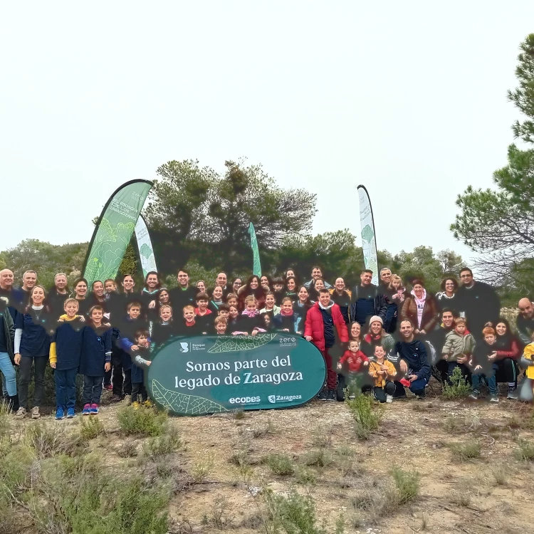 Imagen relacionada de el bosque de los zaragozanos suma 300 nuevos arboles con el apoyo de endesa