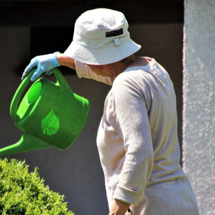 Imagen relacionada de concursos jardines huertos residencias madrid