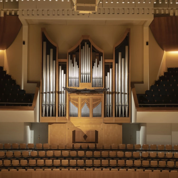 Imagen relacionada de cicle orgue concerts gratuïts valencia