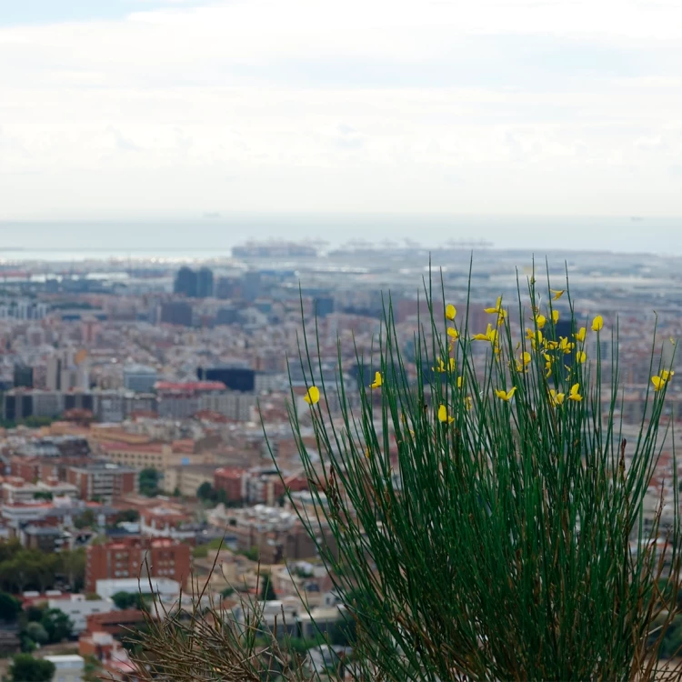 Imagen relacionada de modificacion ciclos naturales cataluna