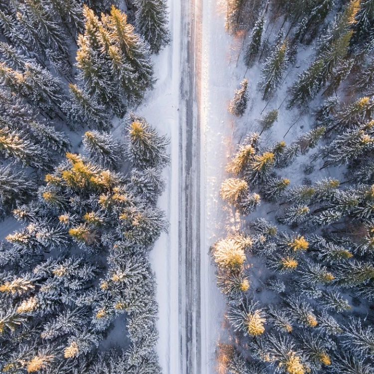 Imagen relacionada de una aventura increible el viaje fascinante hacia lo desconocido