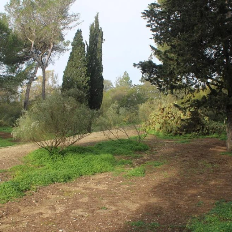 Imagen relacionada de 4 4 millones euros mantenimiento corredor medioambiental arco verde madrid