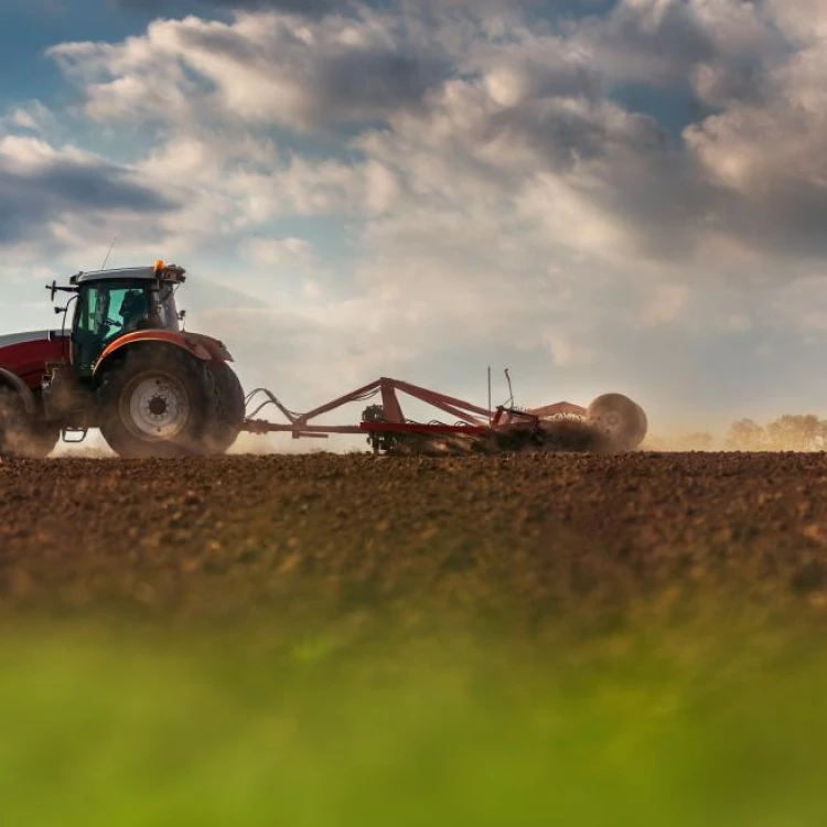 Imagen relacionada de aprobada inversion ayudas agricultores ganaderos madrid