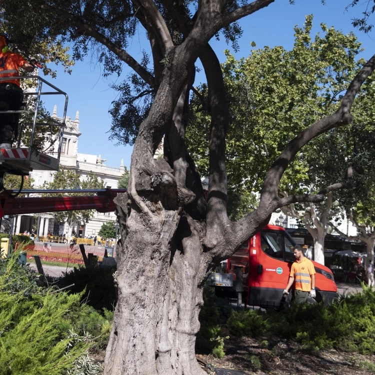 Imagen relacionada de reunion ayuntamiento valencia jardineros condiciones trabajo