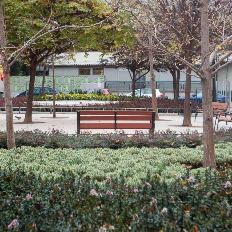 Imagen relacionada de los jardines de la glorieta de diego velazquez estrenan un nuevo aspecto