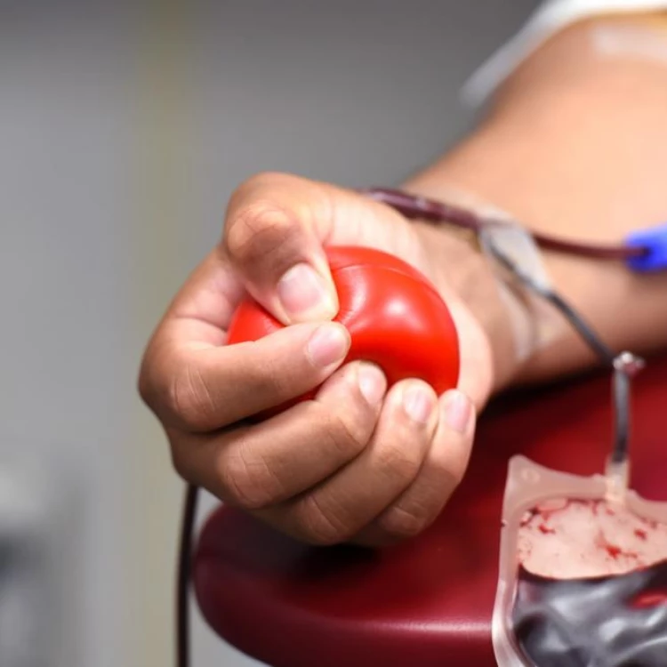 Imagen relacionada de carne donante sangre tarjeta sanitaria virtual