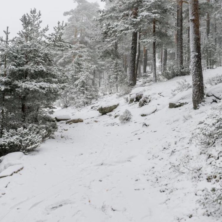 Imagen relacionada de recomendaciones disfrutar nieve sierra madrileña