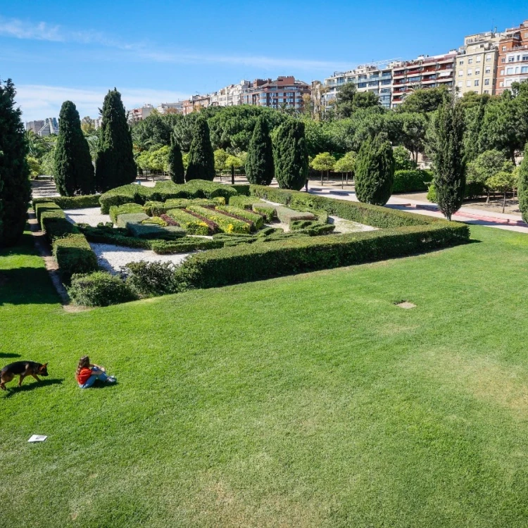 Imagen relacionada de ayuntamiento valencia camaras vigilancia jardin turia