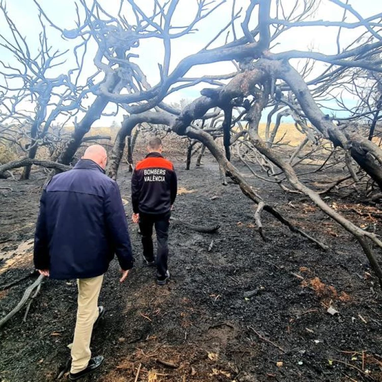 Imagen relacionada de dos incendios en el saler autoridades trabajan para esclarecer su origen