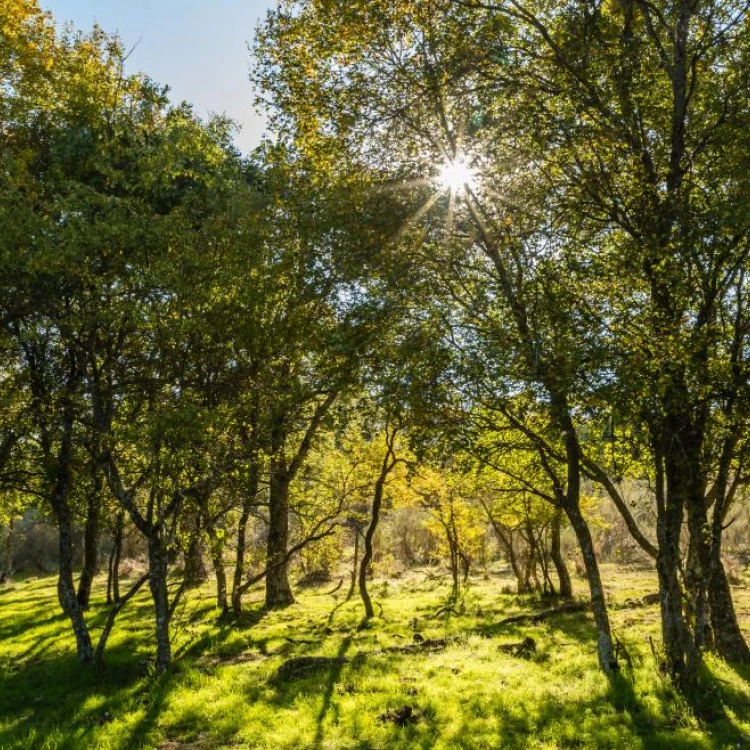 Imagen relacionada de promocion espacios naturales Madrid