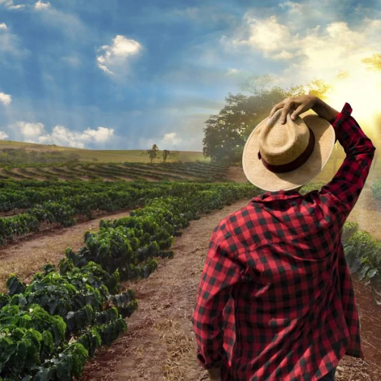 Imagen relacionada de ayudas extraordinarias agricultores ganaderos