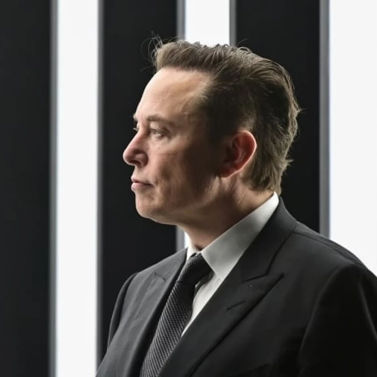 Imagen relacionada de primera persona recibe implante cerebral neuralink elon musk