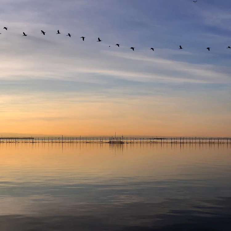 Imagen relacionada de declaracion albufera reserva biosfera unesco