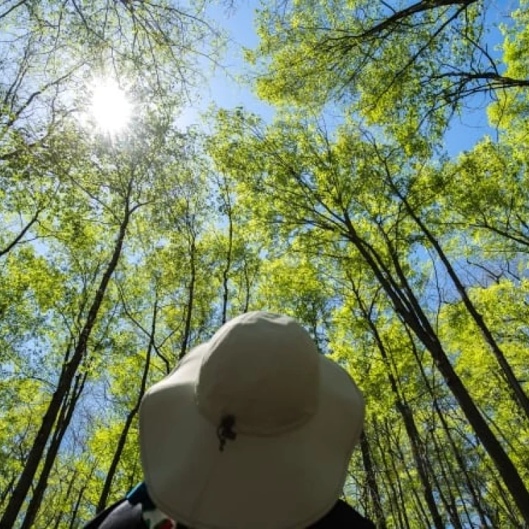 Imagen relacionada de estudio wwf lugares restauracion ecologica canada