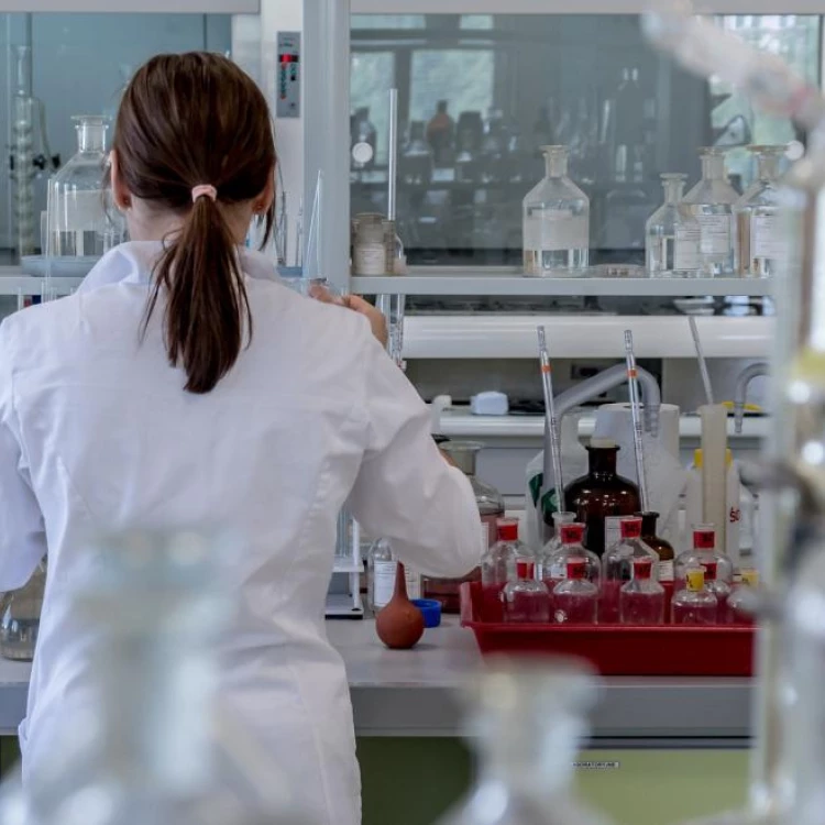 Imagen relacionada de comunidad madrid dia internacional mujer nina ciencia