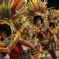 Imagen relacionada de carnaval rio janeiro homenaje indigenas medidas mineria ilegal amazonia