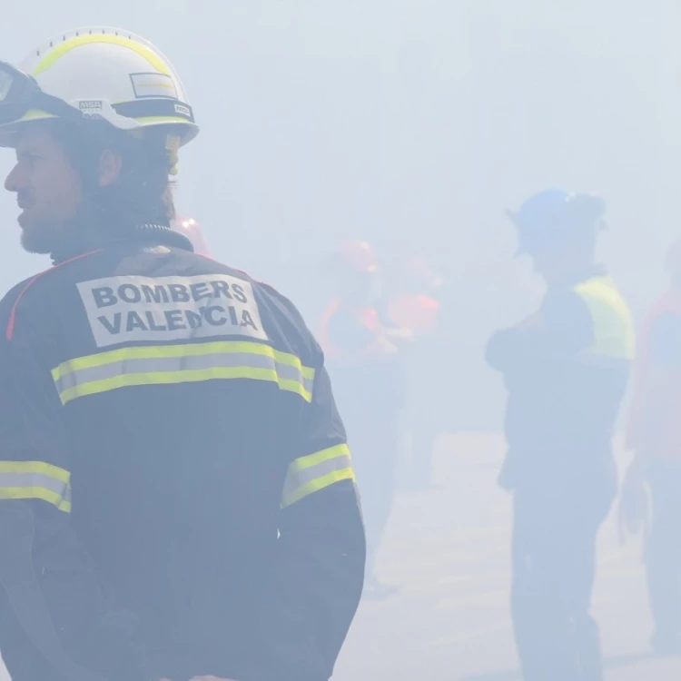 Imagen relacionada de plan prevencion fallas 2024