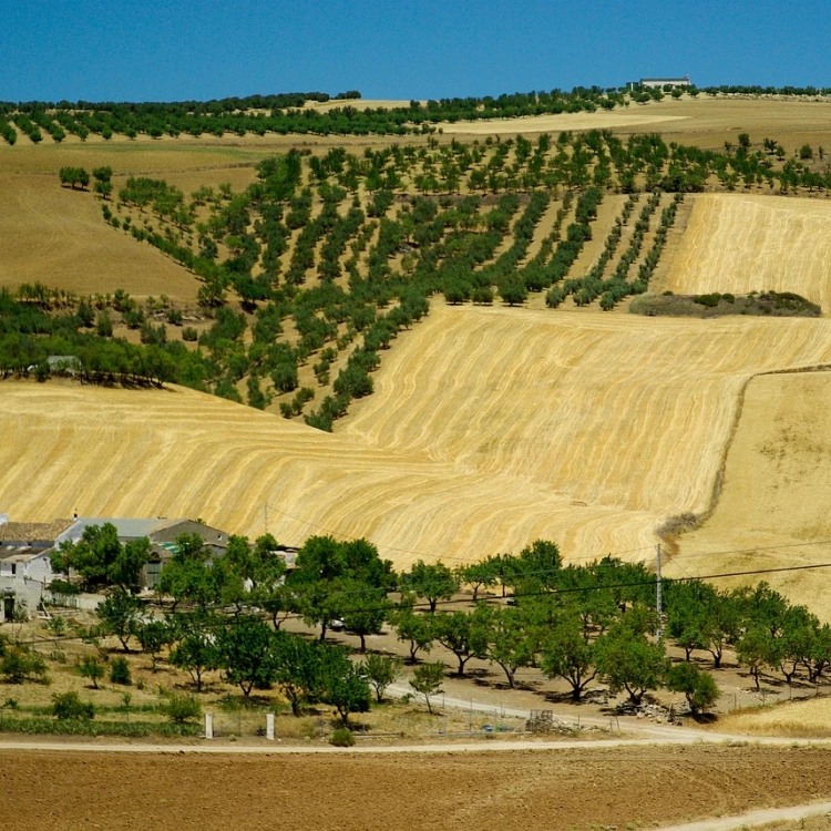 Imagen relacionada de hacienda distribuira mas de 600 millones de euros en apoyo a las pymes en espana