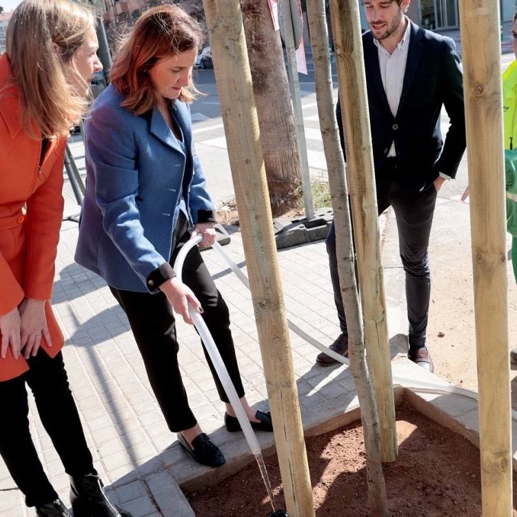 Imagen relacionada de ayuntamiento valencia arboles ciudad