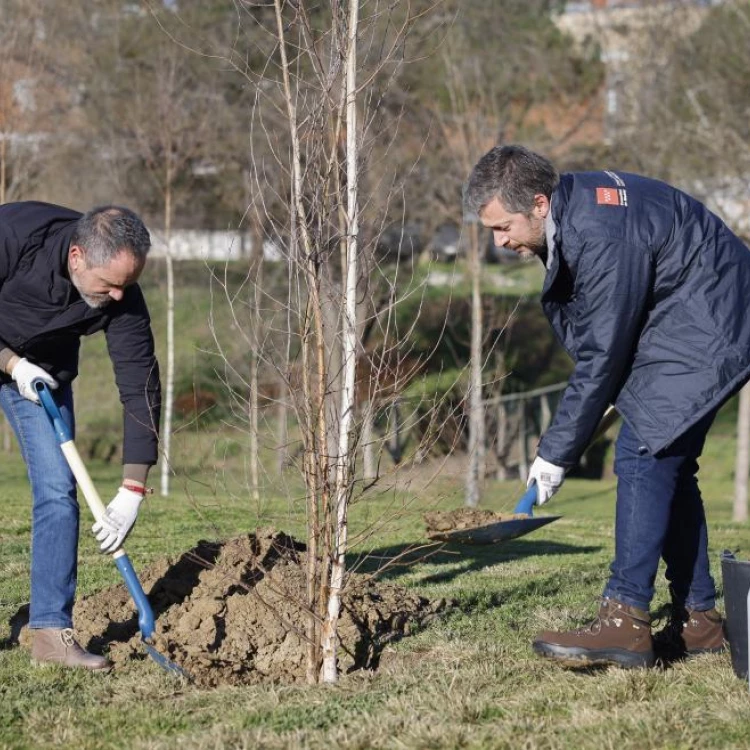 Imagen relacionada de plantacion arboles arbustos madrid biodiversidad