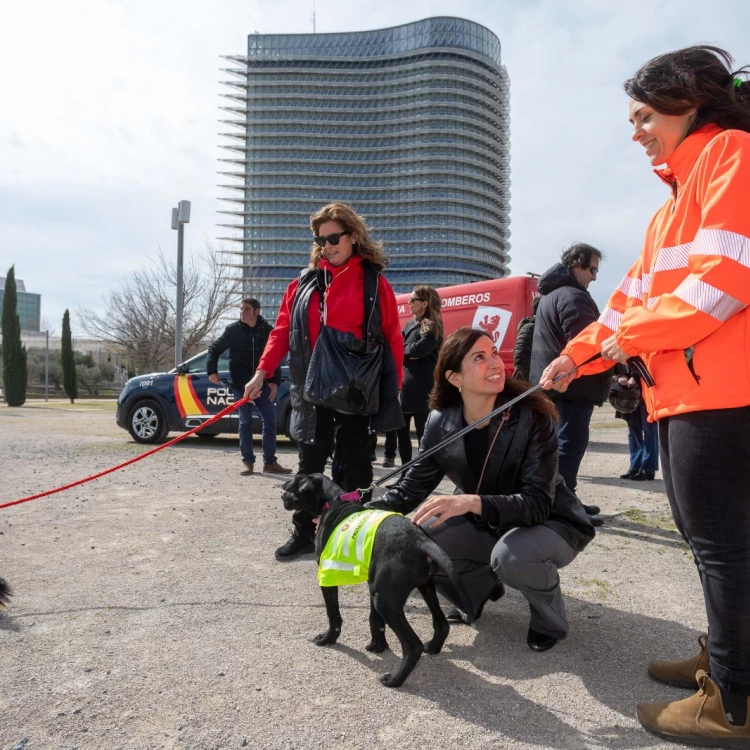 Imagen relacionada de la andada camina y familiar kalibo 5k regresa al parque del agua de zaragoza