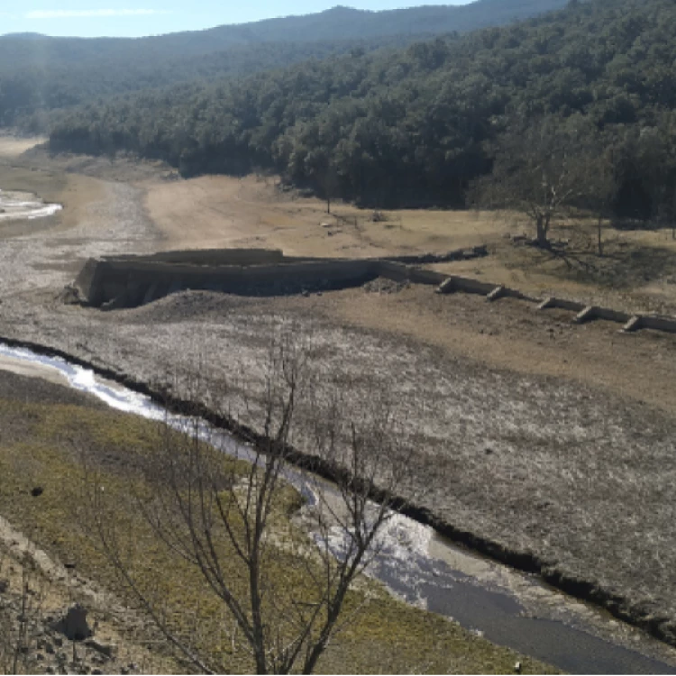 Imagen relacionada de emergencia sequia alt emporda