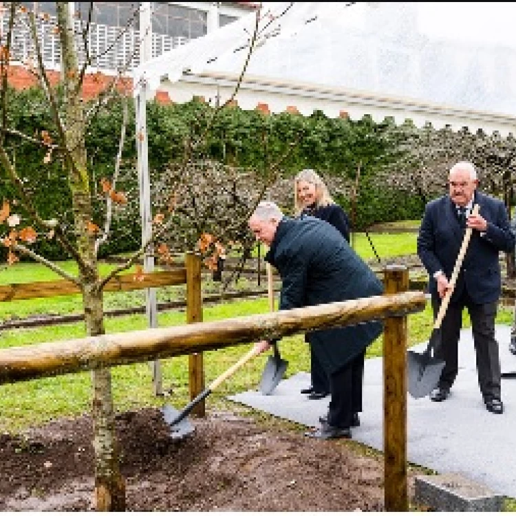 Imagen relacionada de lehenadakari inigo urkullu participa en plantacion arbol gernika trucios turtzioz