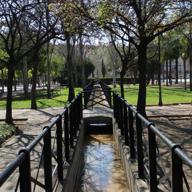 Imagen relacionada de valencia galardonada ciudad arborea mundo