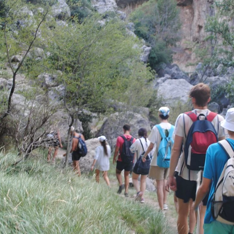 Imagen relacionada de campo de voluntariado espana verano 2024