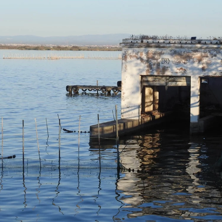 Imagen relacionada de ayuntamiento valencia reparacion puente gola pujol