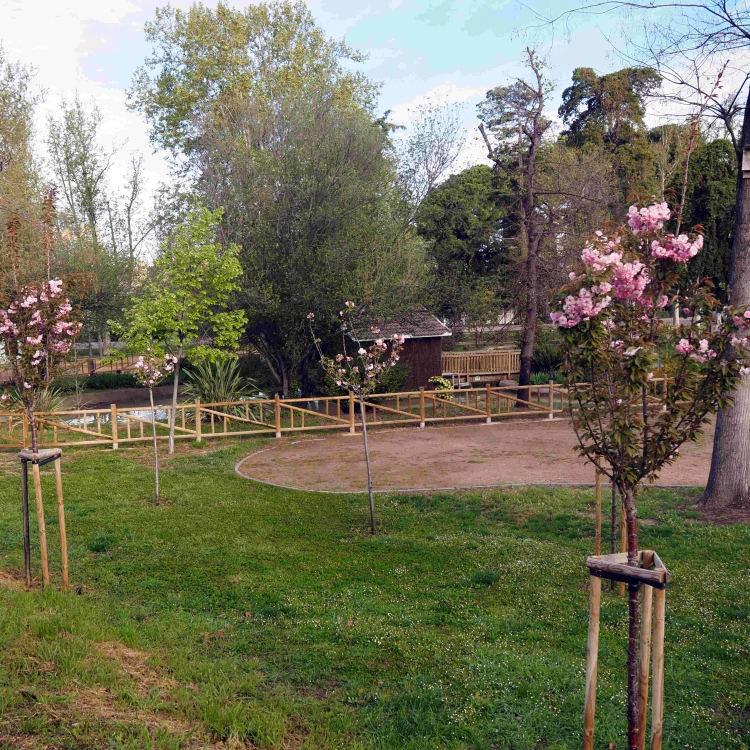 Imagen relacionada de inaugurado jardin japones zaragoza