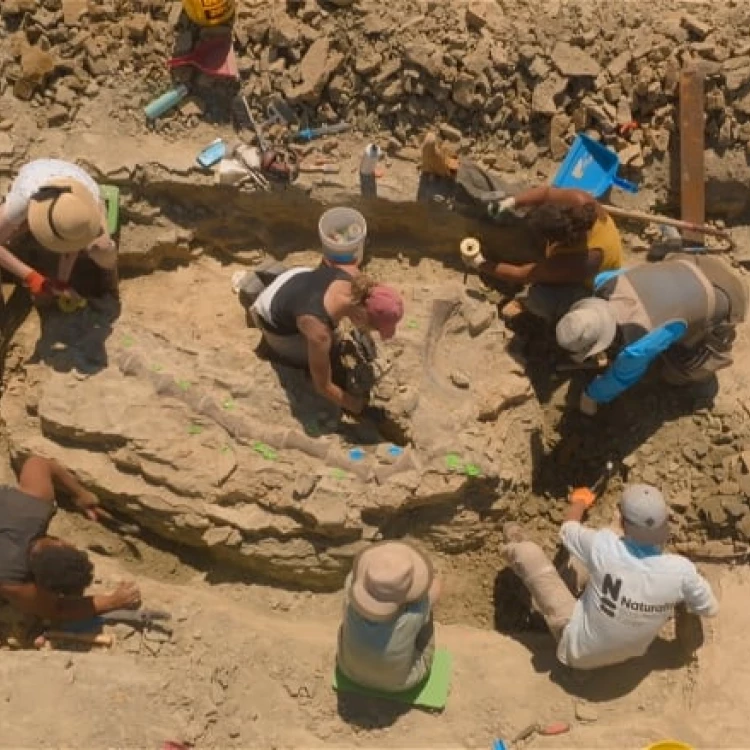 Imagen relacionada de descubren fosiles de dinosaurios de 150 millones de anos en la milla jurasica de wyoming