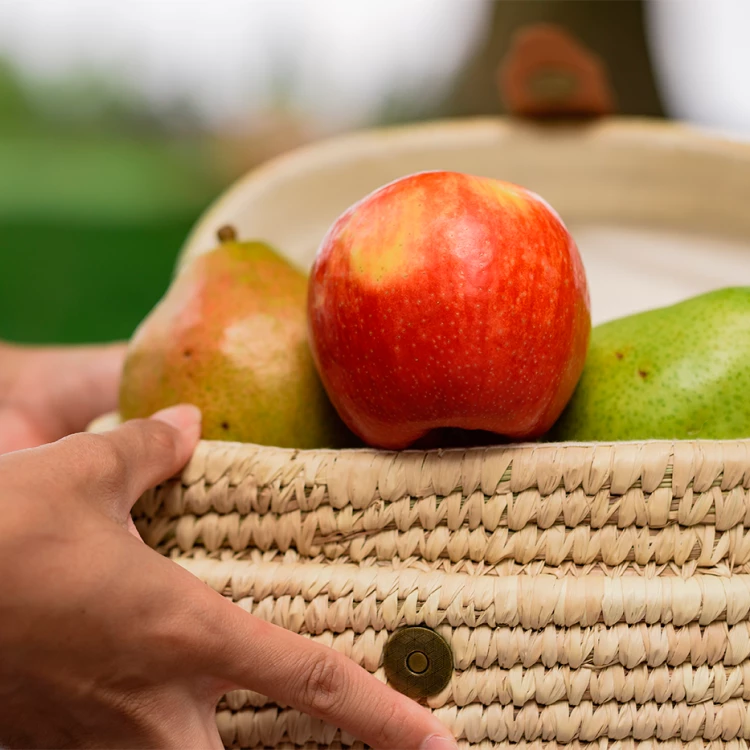 Imagen relacionada de lluvias en cataluna salvan produccion fruta semilla pero reduce cosecha