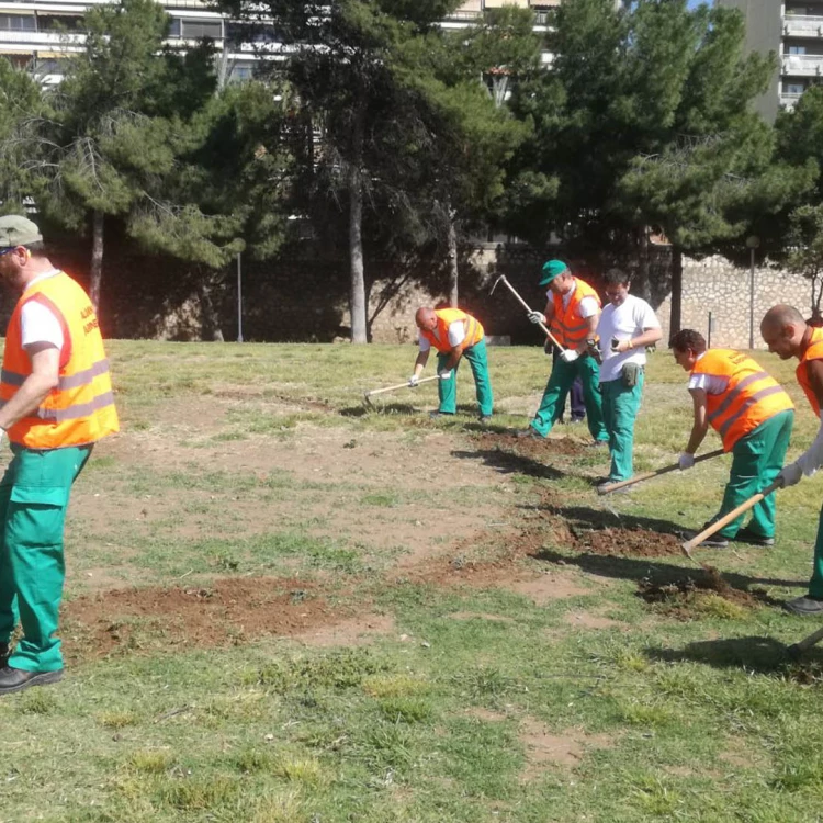 Imagen relacionada de convocatoria plazas jardineria valencia