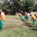 Imagen relacionada de convocatoria plazas jardineria valencia