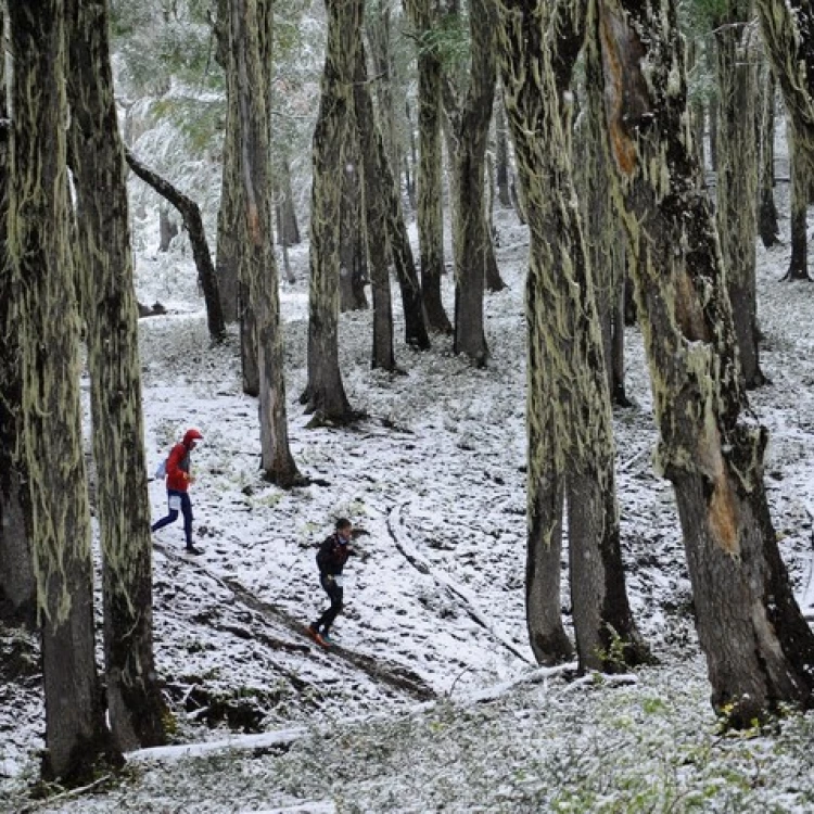 Imagen relacionada de patagonia run carrera magica narnia