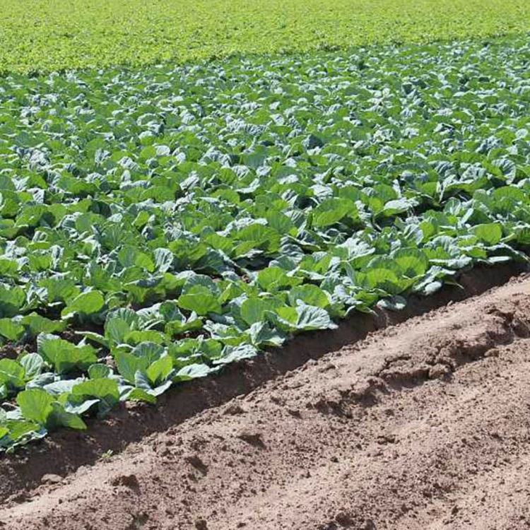 Imagen relacionada de ayuntamiento valencia premia emprendimiento agricultura ganaderia pesca