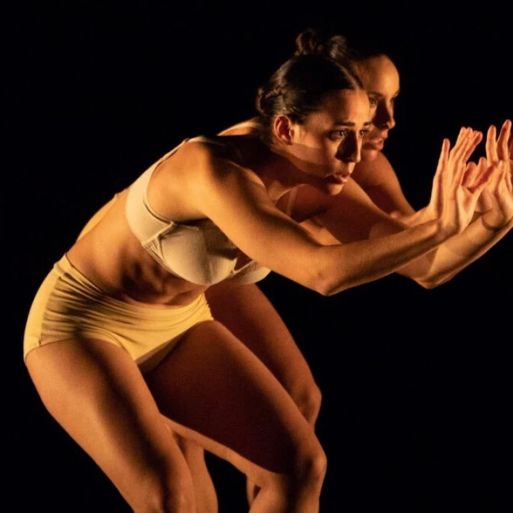 Imagen relacionada de el museo de historia de valencia presenta la obra tender skin en el festival dansa valencia