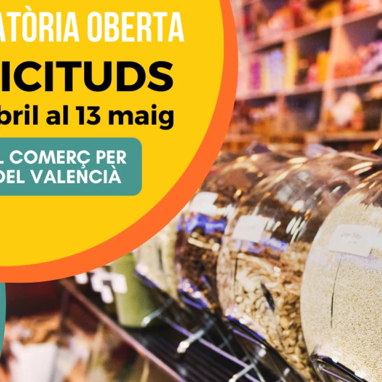 Imagen relacionada de ayudas promocion valenciano comercios valencia