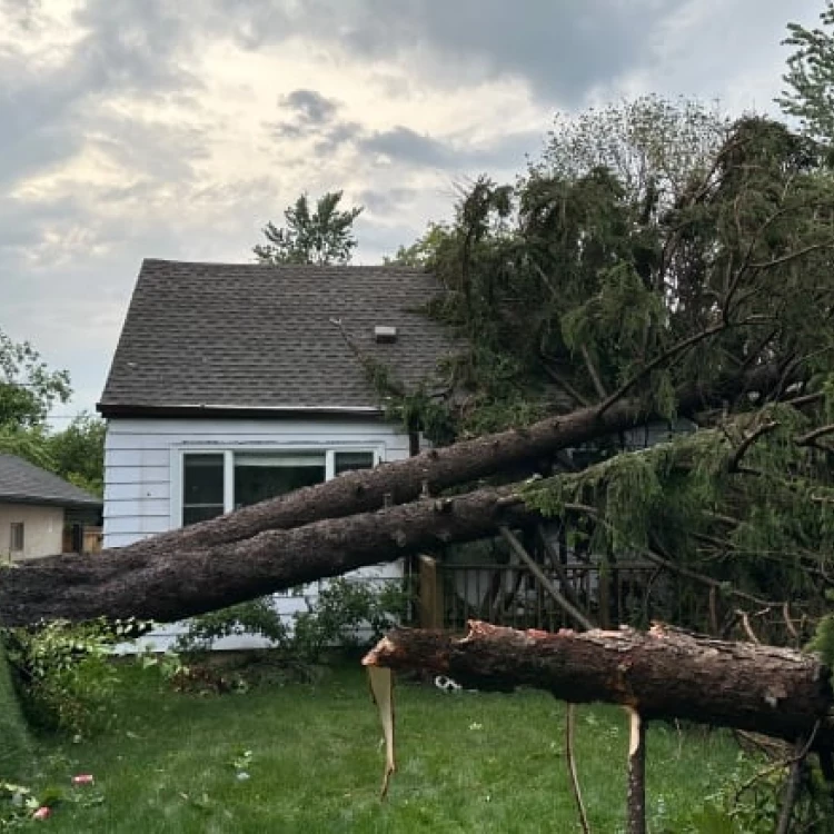 Imagen relacionada de movilizado equipo cientificos tornados danos ontario