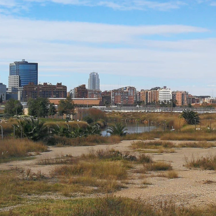 Imagen relacionada de pleno valencia aprueba cambio pai grau aumento viviendas publicas