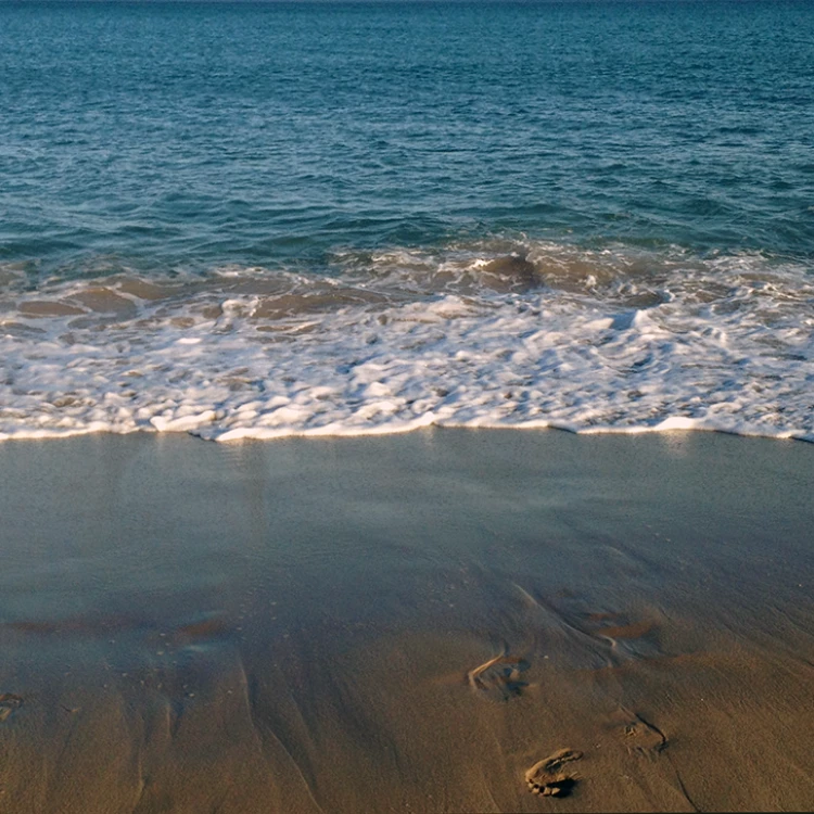 Imagen relacionada de cataluna playas galardonadas puertos bandera azul 2024